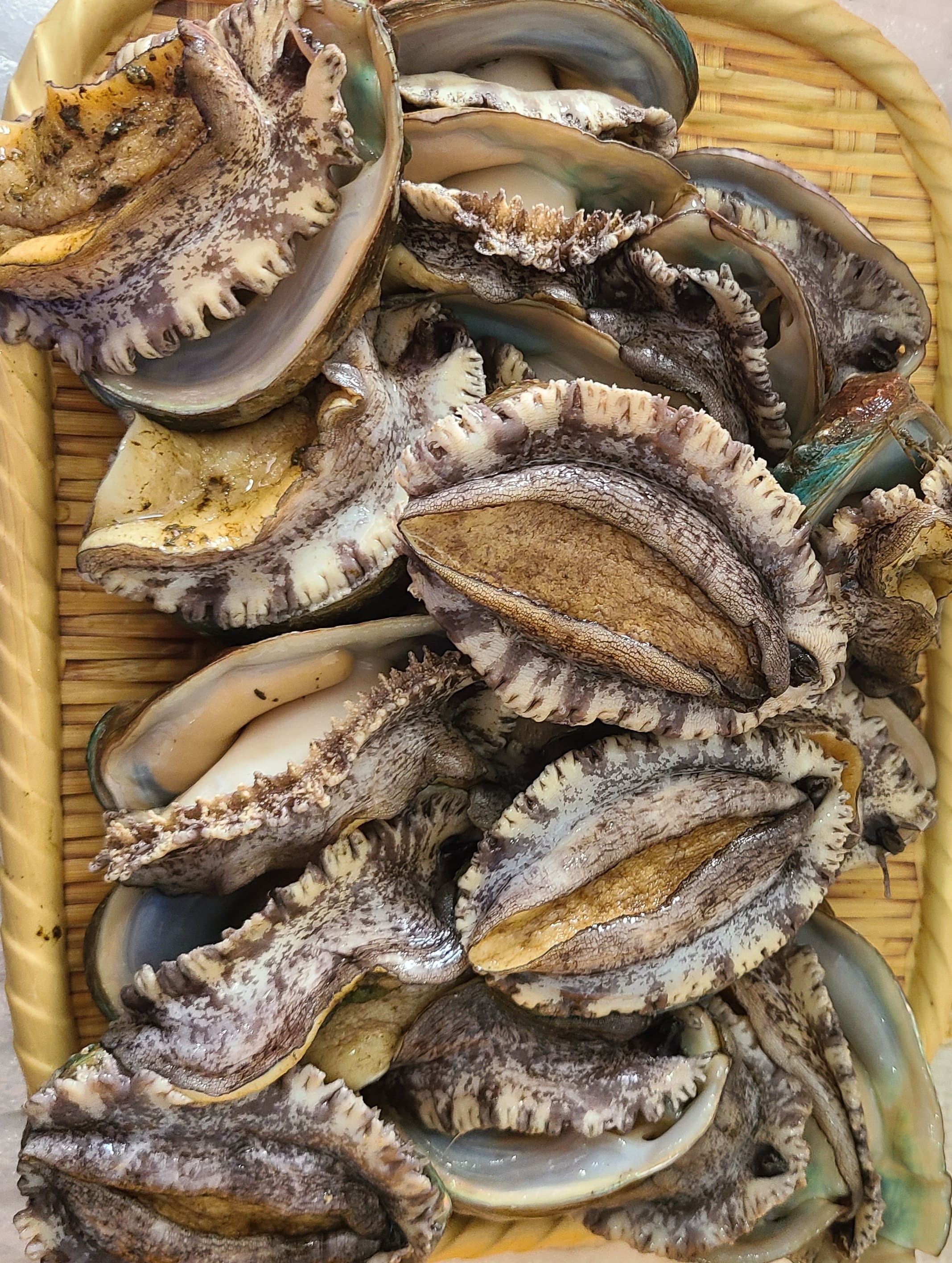 🎁전복(1kg) 6마리