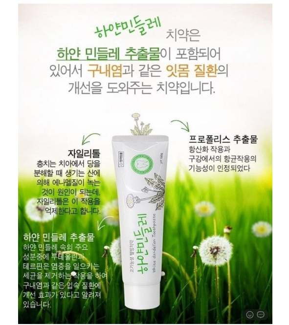 💢하얀 민들레 치약 10개💢