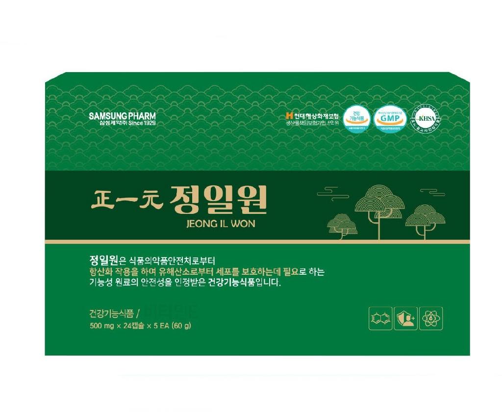 정일원 송침유