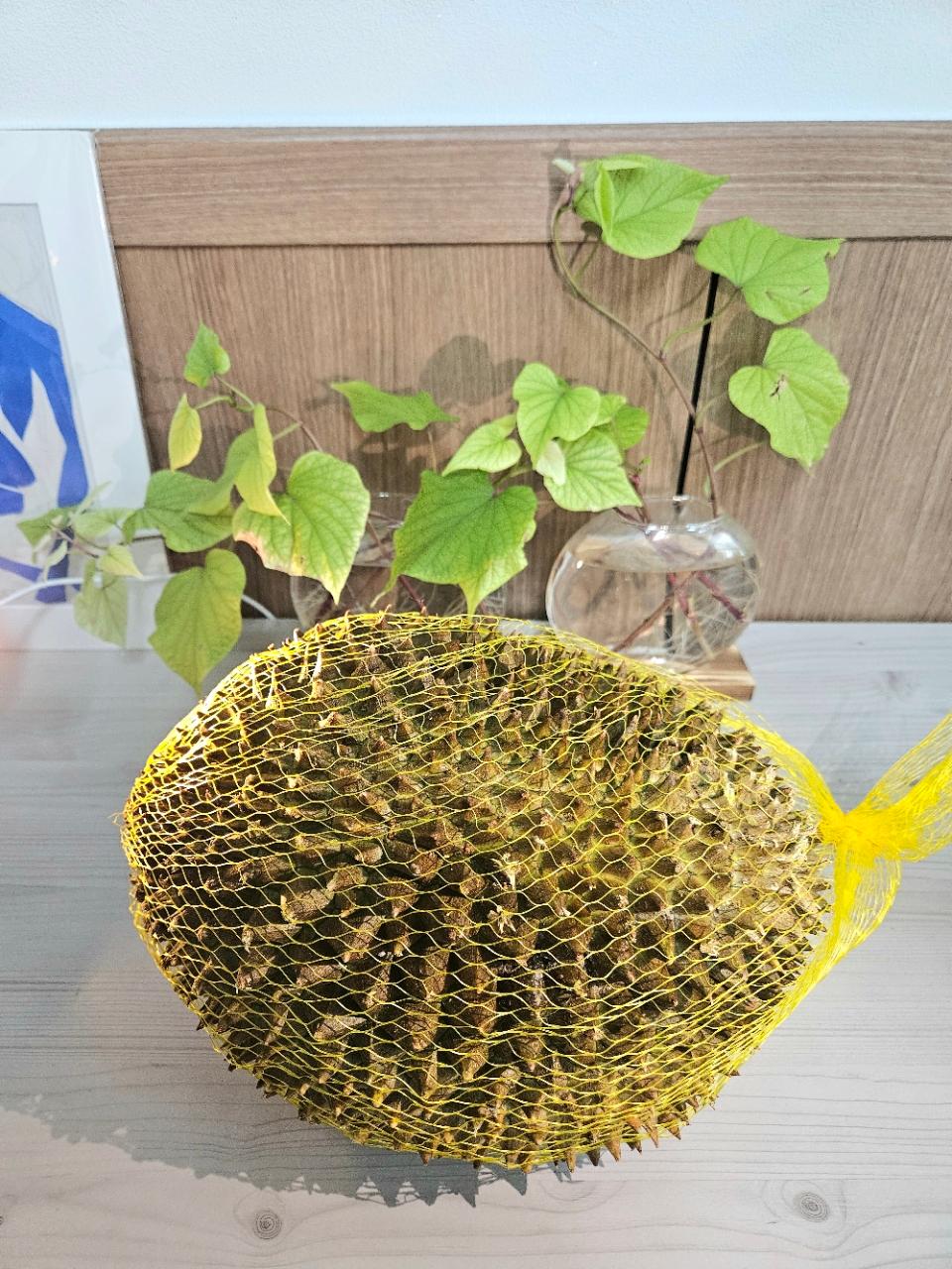 💢베트남 몬통 두리안 냉동 손질 두리안💢 깐두리안 400g